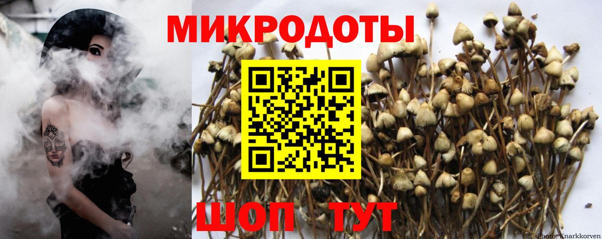 Галлюциногенные грибы Magic Shrooms  Вход с VPN  Холмск 